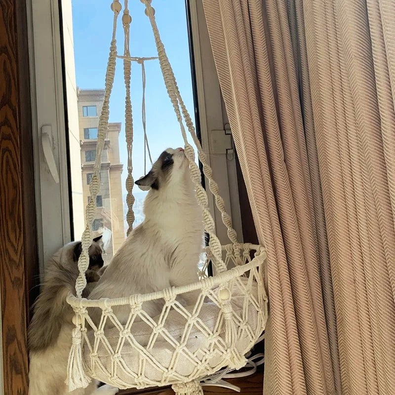 Hamac Lounge pour Chat | Aldo