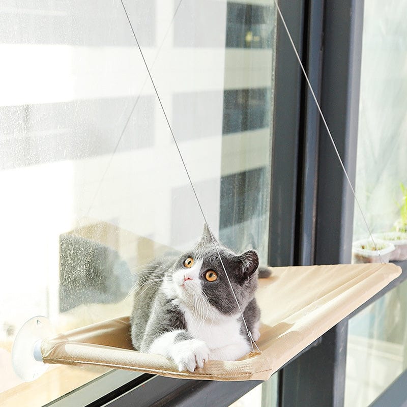 Hamac Chat Vitre | Olympe