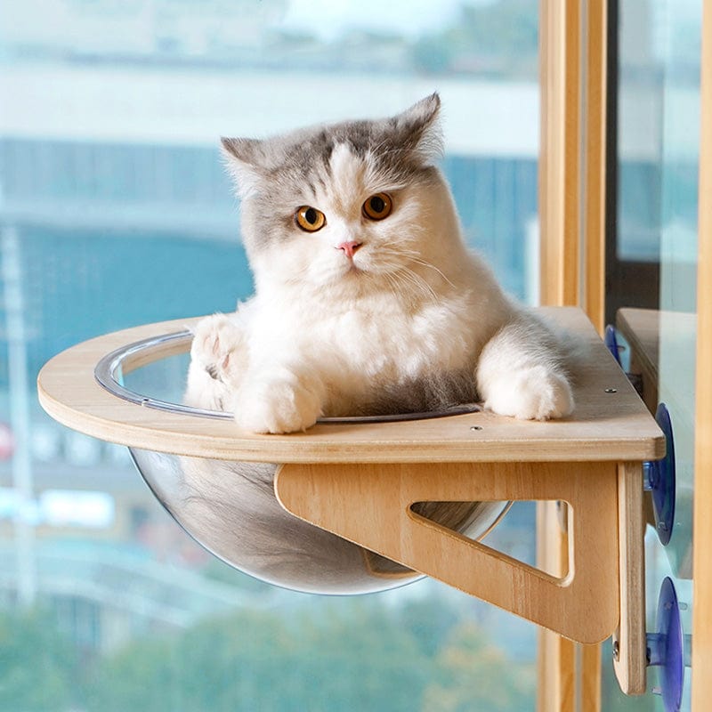 Hamac Fenêtre Bois Chat | Jerrie